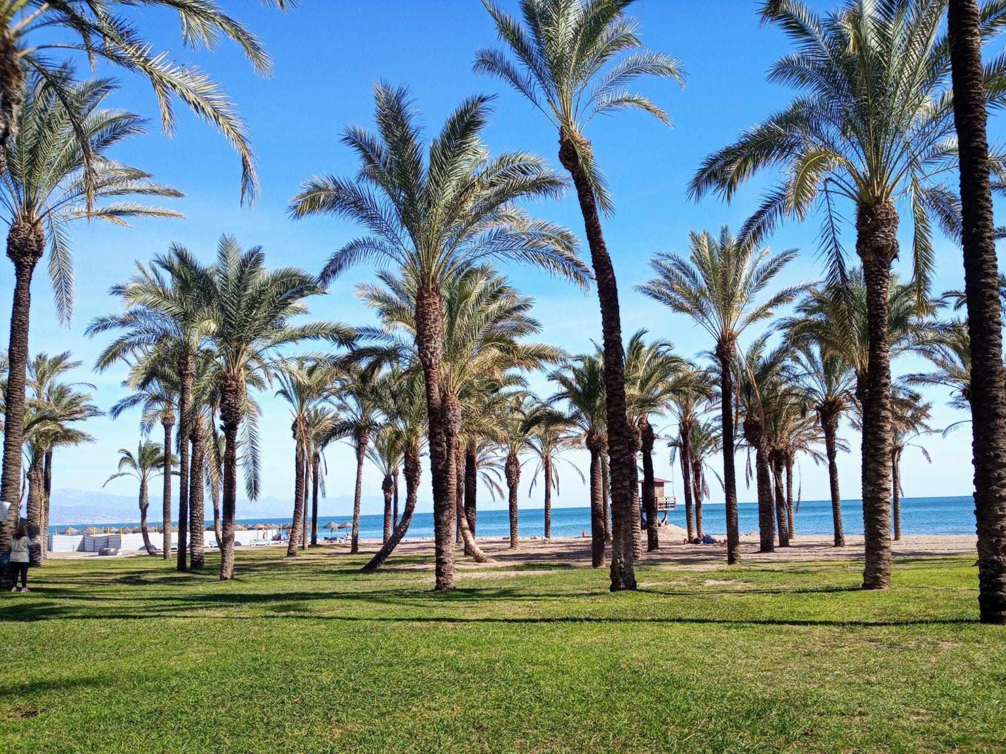 Apartamento La Carihuela A 2 Minutos De La Playa 托雷莫利诺斯 外观 照片